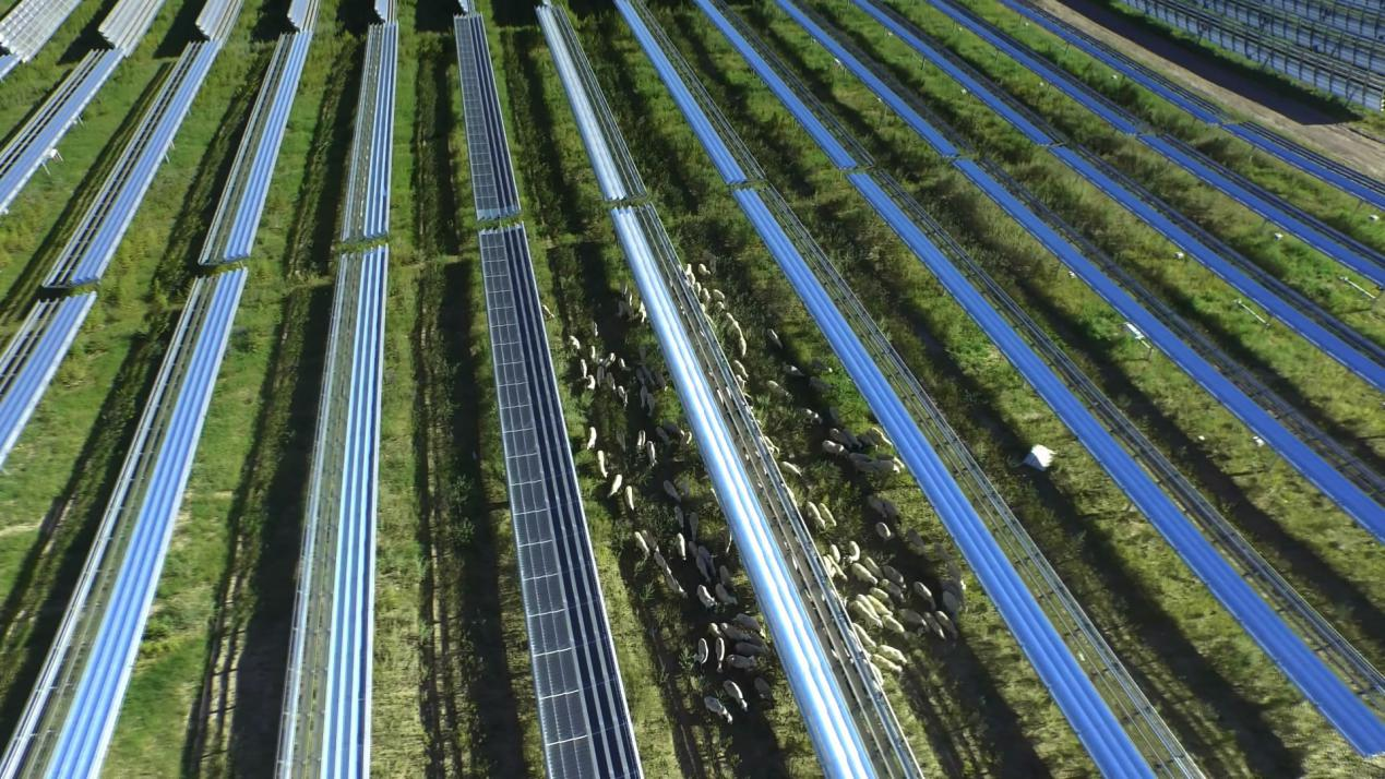 ��������88304����