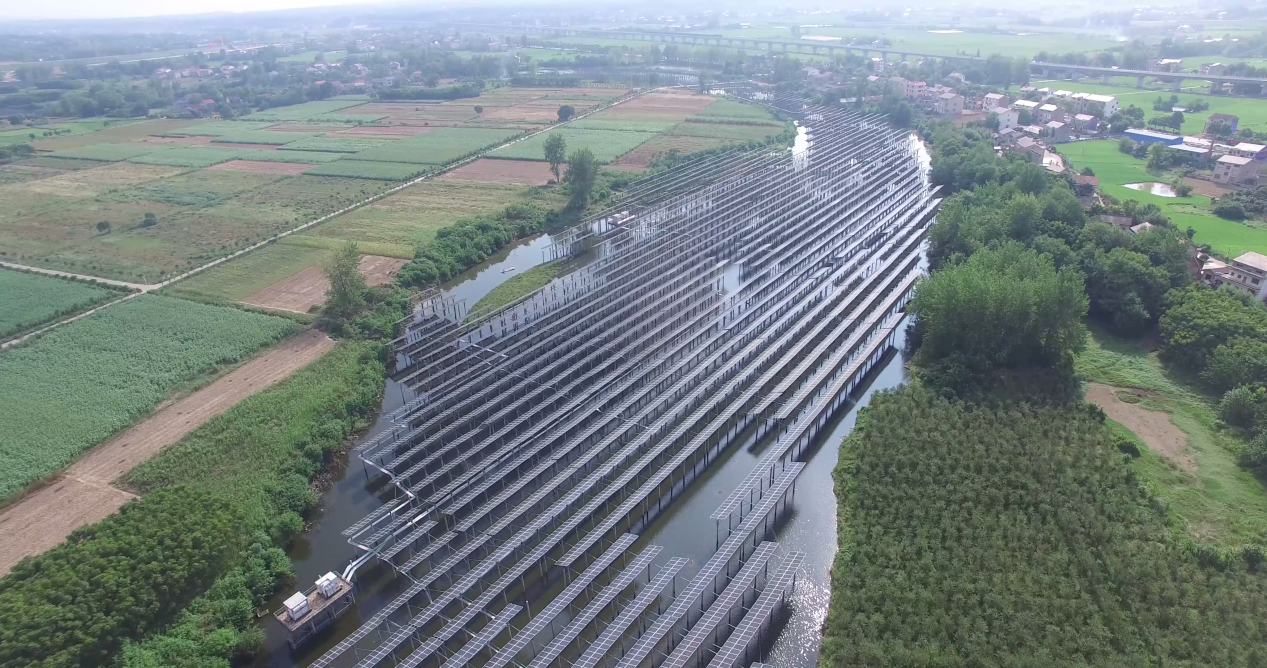 ��������88304����